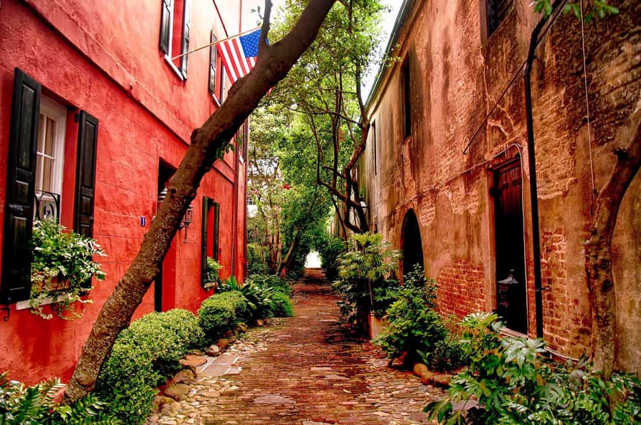 Charleston: History and Architecture Guided Walking Tour - Starting Point Under the Charleston Tours & Activities Windows