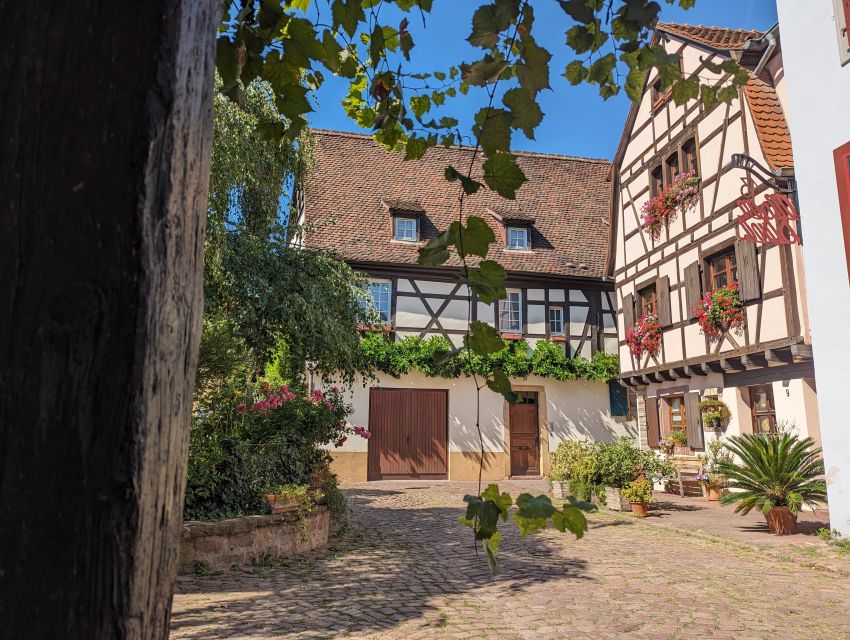 Colmar: Unusual Walking Tour with a local guide - Key Points You’ll Care About