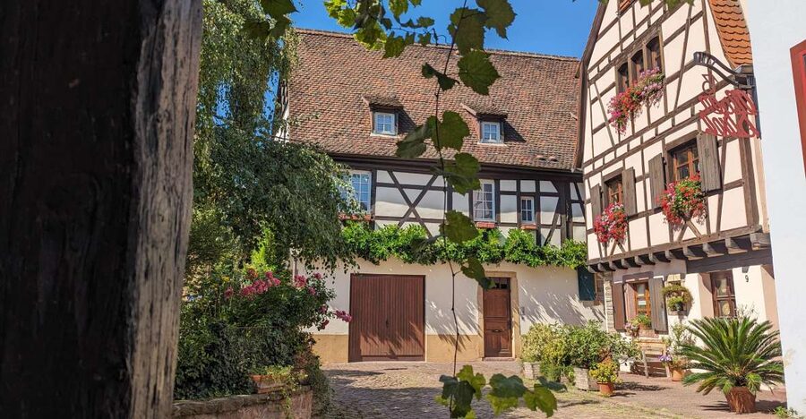 Colmar: Unusual Walking Tour with a local guide - Medieval Colmar: Life Behind the Tight Streets