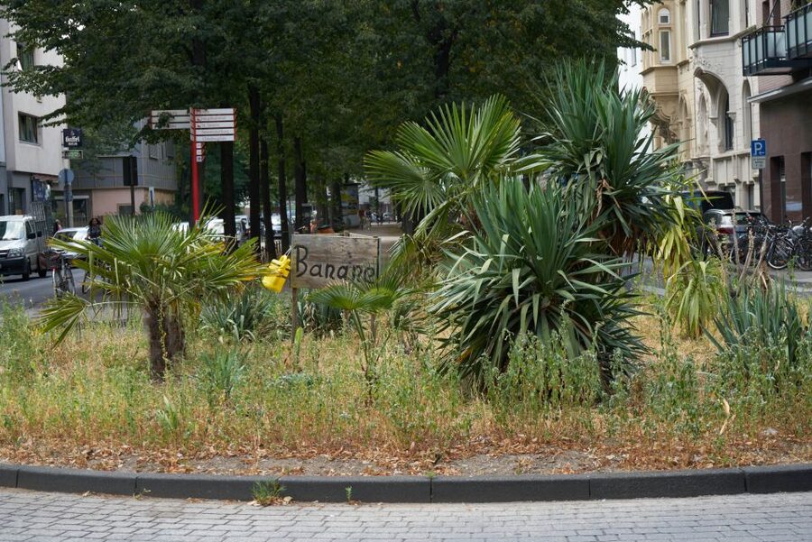 Cologne: Südstadt Guided Foodie Walking Tour - What you’re really paying for: price, group size, and value