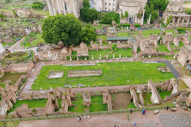 Colosseum & Ancient Rome Guided Walking Tour - The Roman Forum: where politics, business, and justice happened