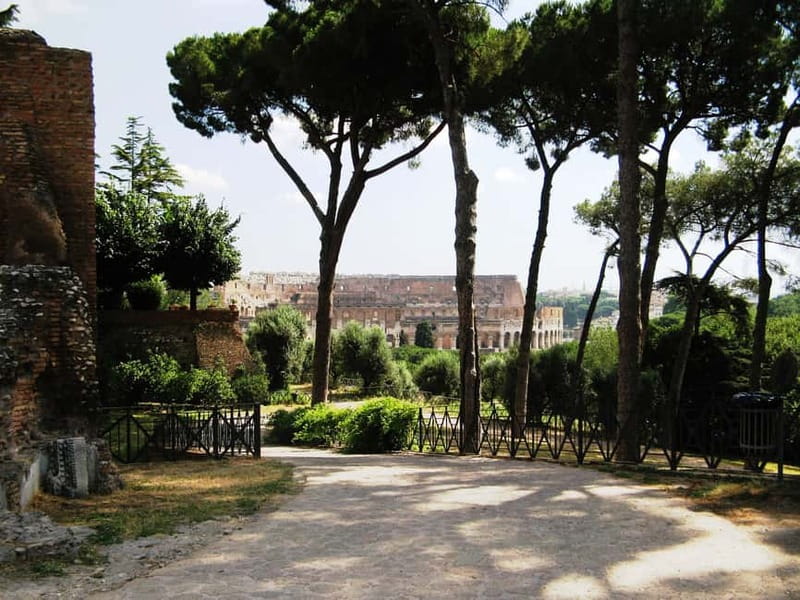 Colosseum, Forum & Palatine Hill Guided Walking tour - Roman Forum: the civic center behind the ruins