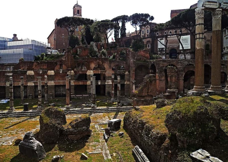 Colosseum, Forum & Palatine Hill Guided Walking tour - Palatine Hill: myth, imperial residences, and skyline views