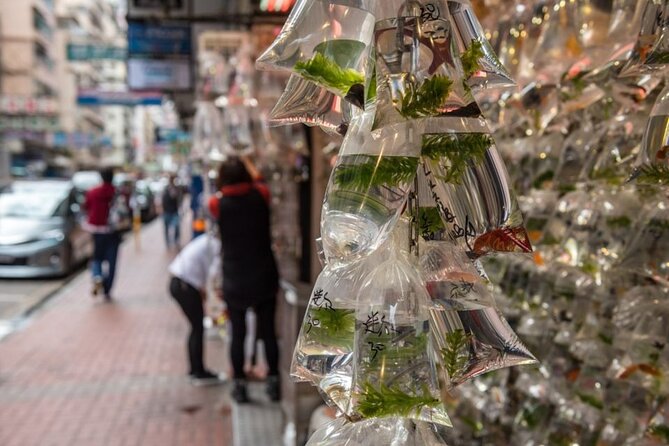 Dark Side of Hong Kong - Kowloon Caged Homes Walking Tour - Value at $32.82: what you’re really paying for in two hours