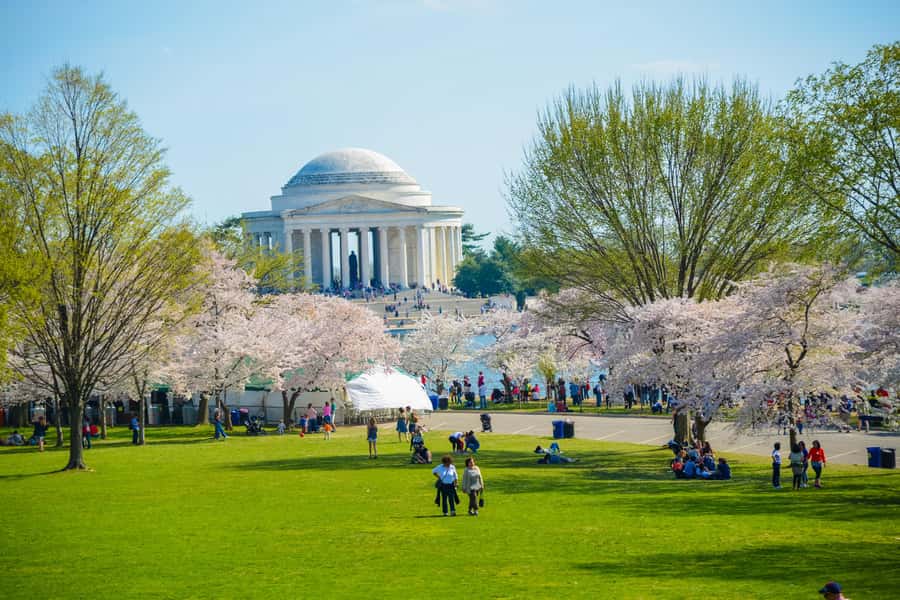 DC: Hop-On Hop-Off with 17 Stops plus Arlington Walking Tour - National Mall hopping strategy: how to turn stops into time