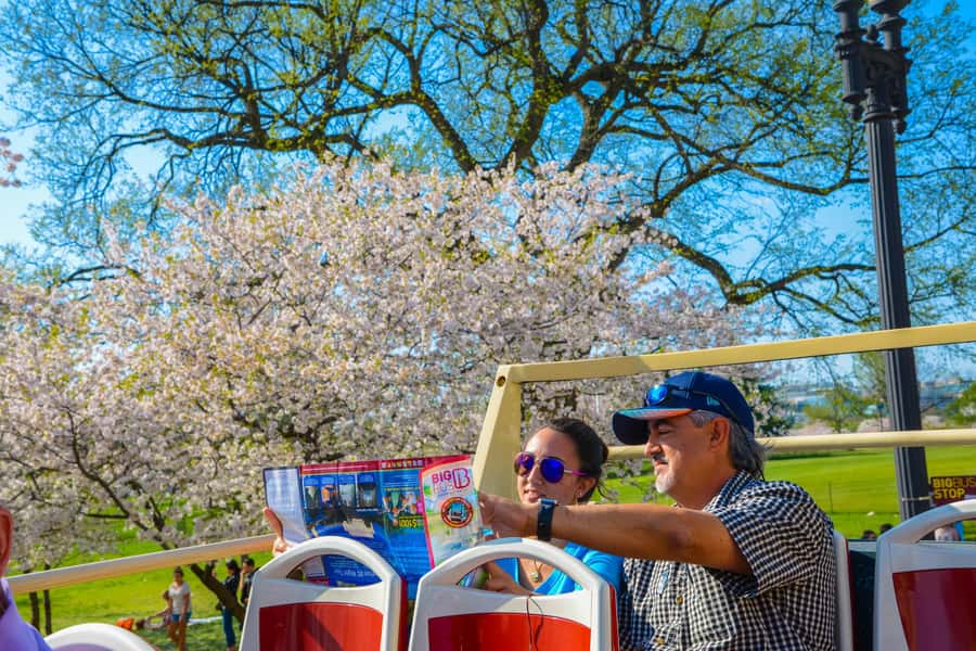 DC: Hop-On Hop-Off with 17 Stops plus Arlington Walking Tour - White House and Capitol area: expect access limits