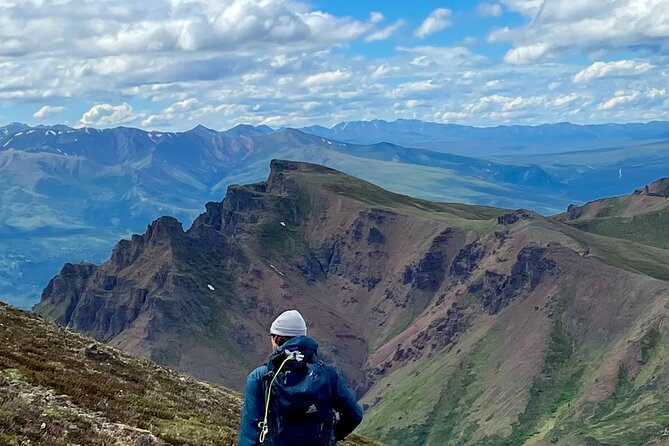 Denali Naturalist Walking Tour - Key takeaways before you lace up