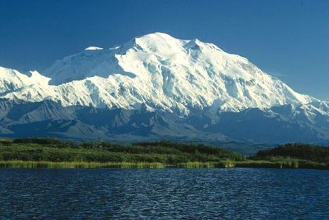 Denali Naturalist Walking Tour - Where you hike: front-country limits and why that can still be worth it