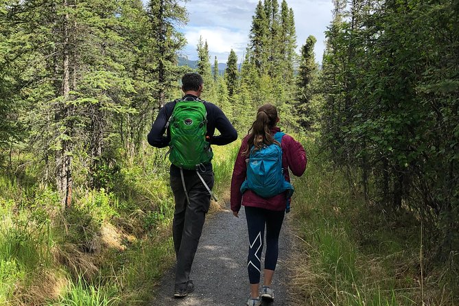 Denali Naturalist Walking Tour - Flora, wildlife signs, and the field details that make the narration click