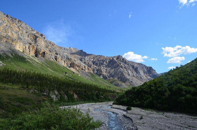 Denali Park Nature Walk (3 Hours) w/Expert Naturalist - Key Things You’ll Notice on This Denali Nature Walk