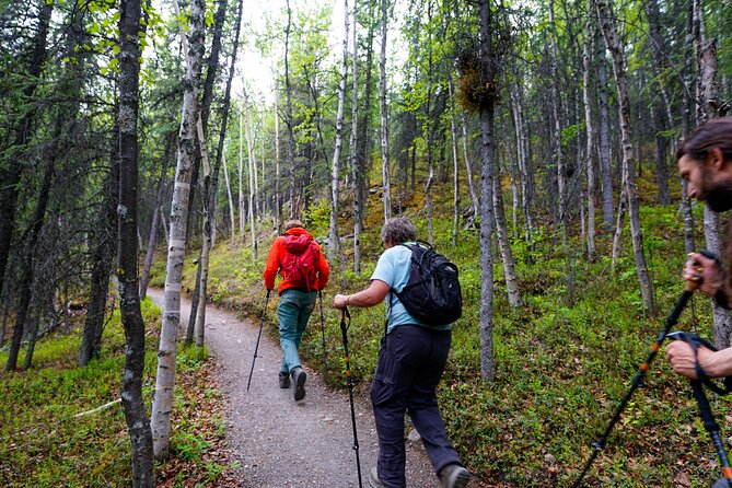 Denali Park Nature Walk (3 Hours) w/Expert Naturalist - Where You Start at the Denali Visitor Center