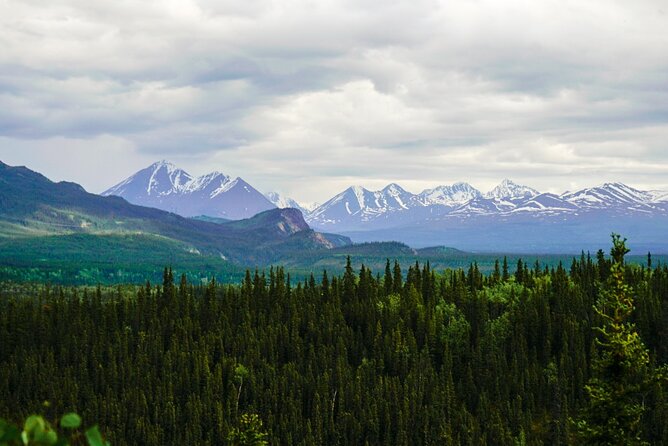 Denali Park Nature Walk (3 Hours) w/Expert Naturalist - Guides Who Turn Stopping Into a Conversation