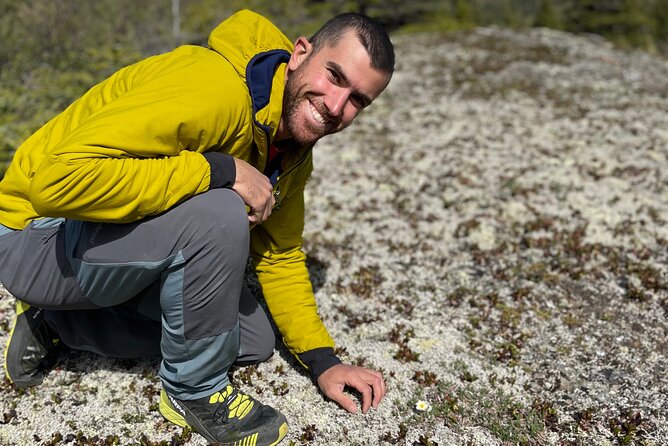 Denali Park Nature Walk (3 Hours) w/Expert Naturalist - Wildlife Expectations: You Might See Moose, But It’s Not Guaranteed