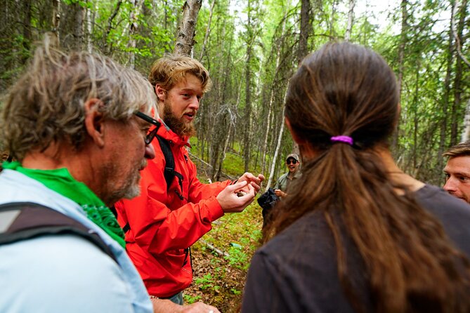 Denali Park Nature Walk (3 Hours) w/Expert Naturalist - Price and Value: Why $139 Can Make Sense for 3 Hours