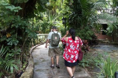 Dilly Dally Walking Tour of Nassau Attractions - Queen’s Staircase to the Water Tower: the first photo-and-story stretch