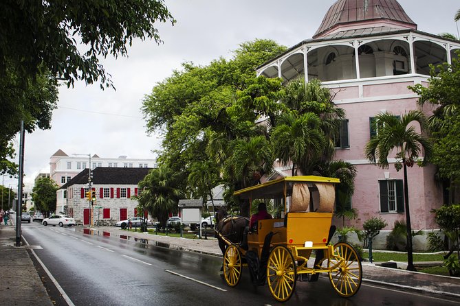 Dilly Dally Walking Tour of Nassau Attractions - Graycliff Chocolatier: wine and chocolate, and why it matters on a walking day