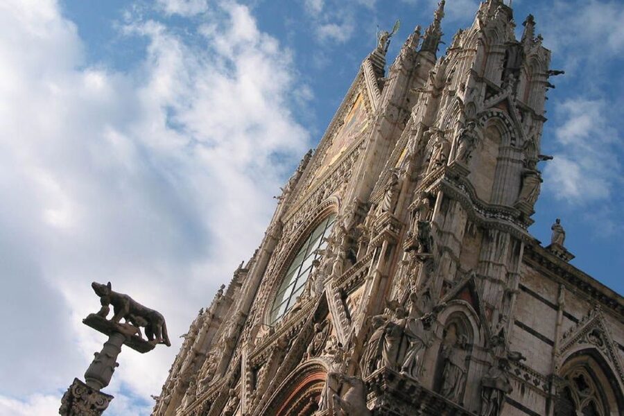 Discover Siena: Guided Walking Tour and Cathedral Visit - Siena’s noble families and palazzos: the city’s power system in human terms