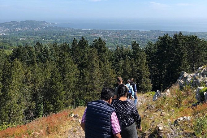 Dublin to Wicklow, Glendalough Small Group Tour with Guided Walk - Upper Lake Free Time: How to Spend Your Hour Without Rushing