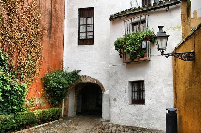 Enchanted Seville Walking Tour - Language: Spanish walking tour vs English availability
