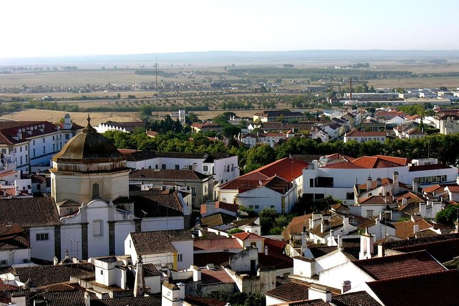 Évora: Private walking tour with tickets to main monuments - Why This Private Évora Walk Feels Worth the Time