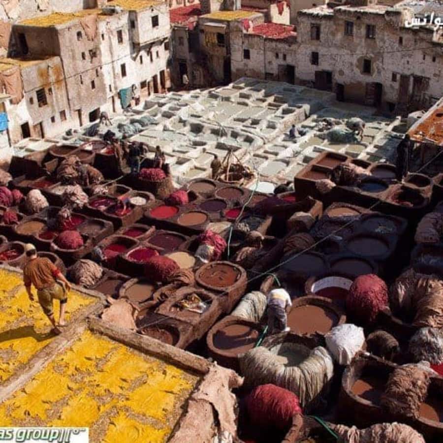 Fez: Guided Walking Tour of the Historic Medina - Why This Tour Feels Different: A Guide Who Turns Fez Into a Story