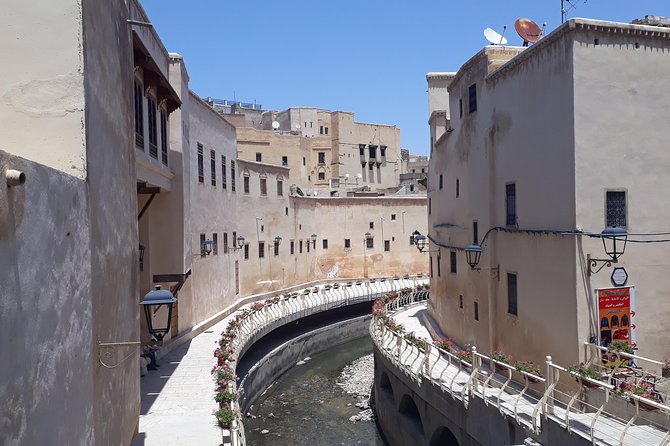 Fez Medina 4-Hour Guided Walking Tour - Chouara Tannery: famous for a reason, and yes, it smells