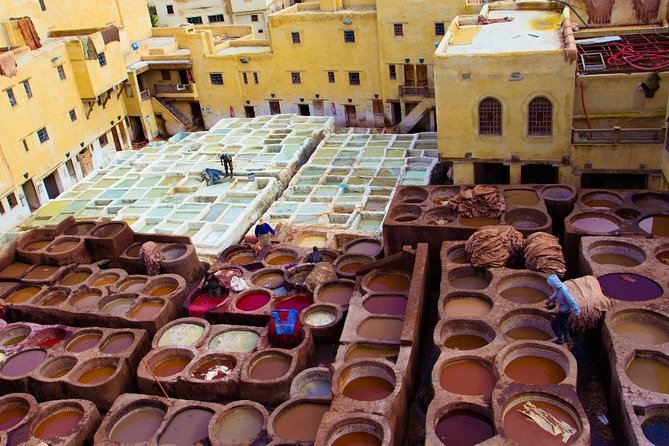 Fez Medina 4-Hour Guided Walking Tour - Souk time and the reality of shop stops