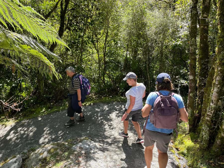 Franz Josef: Franz Josef Glacier Lookout Guided Walk - Weather: Rain or Shine, and What That Means for Your Day
