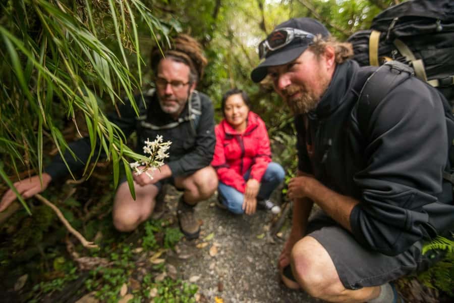 Franz Josef: Franz Josef Glacier Lookout Guided Walk - What to Pack: Warm Layers, Good Footwear, and Cold-Rain Reality