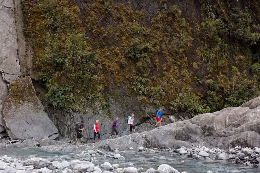 Franz Josef: Franz Josef Glacier Lookout Guided Walk - From Rainforest to River Bed Views in About 3 Hours