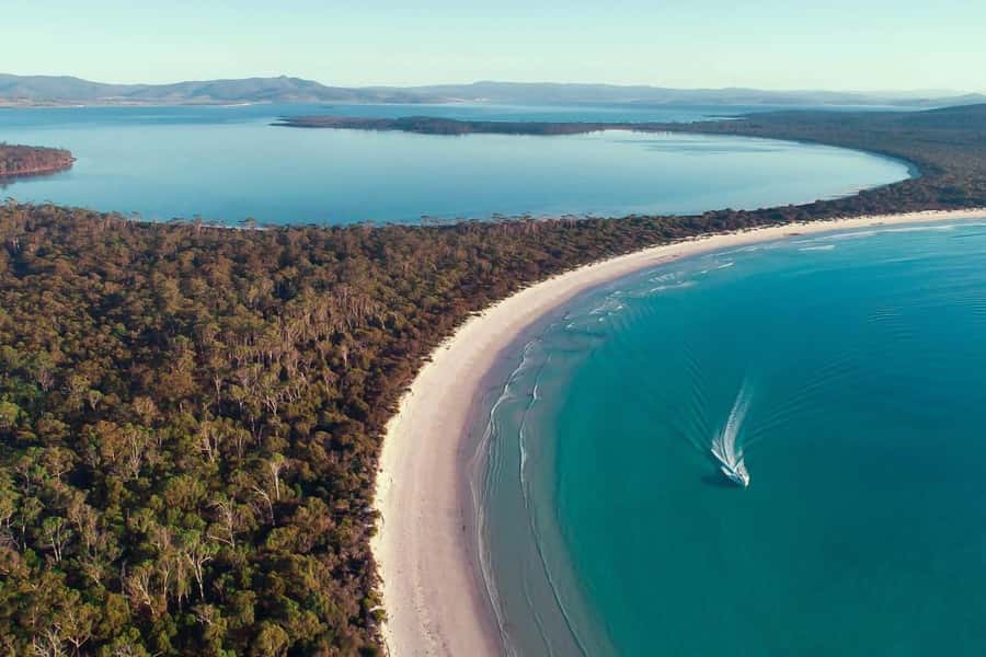 From Triabunna: Maria Island Cruise & Guided Walk with Lunch - Key Things That Make This Maria Island Cruise Worth Your Time