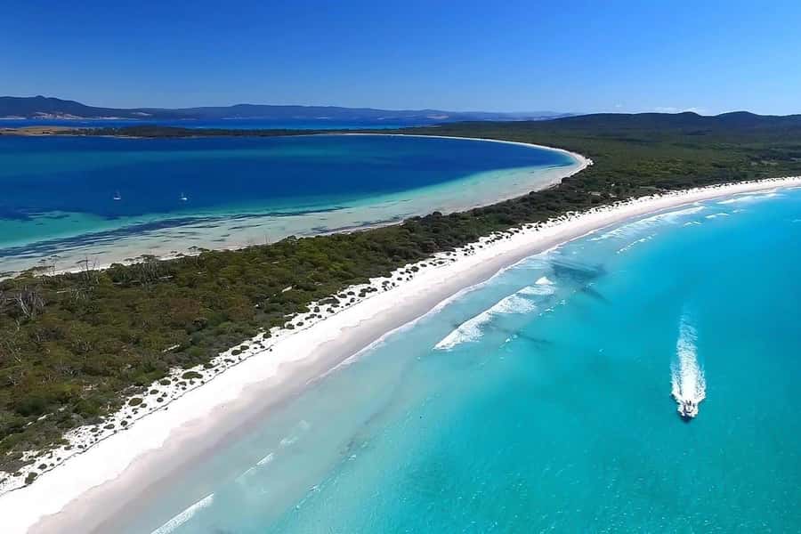 From Triabunna: Maria Island Cruise & Guided Walk with Lunch - Why Maria Island by Boat Feels Like the Real Deal