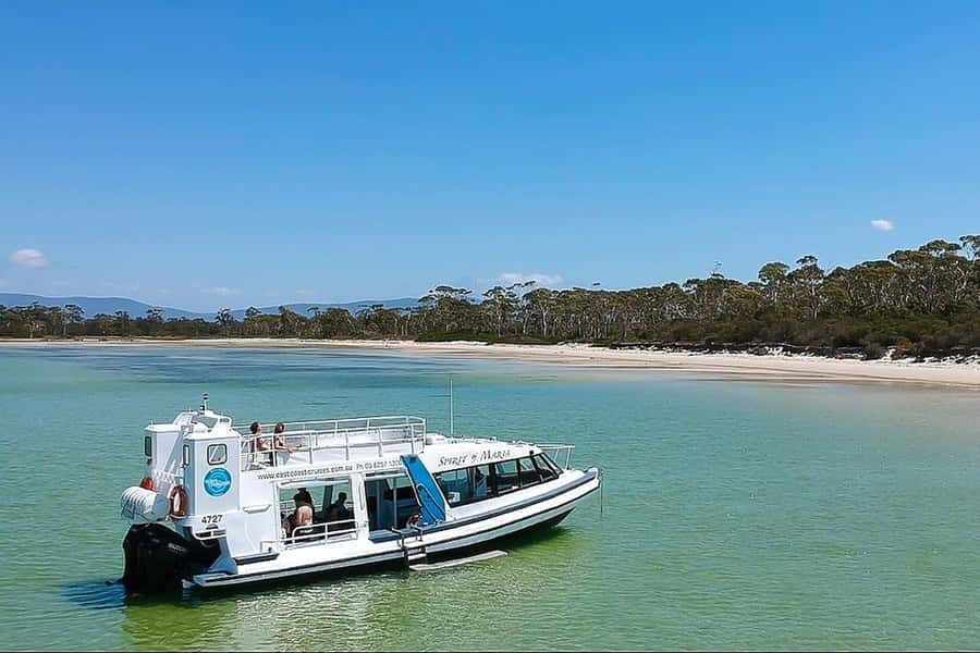 From Triabunna: Maria Island Cruise & Guided Walk with Lunch - The Morning Cruise: Fossil and Painted Cliffs, Sea Caves, Waterfalls