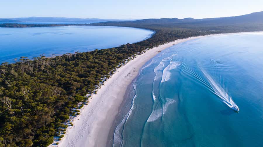 From Triabunna: Maria Island Cruise & Guided Walk with Lunch - Lunch Afloat on the Boat: A Quiet Bay With Real Break Time