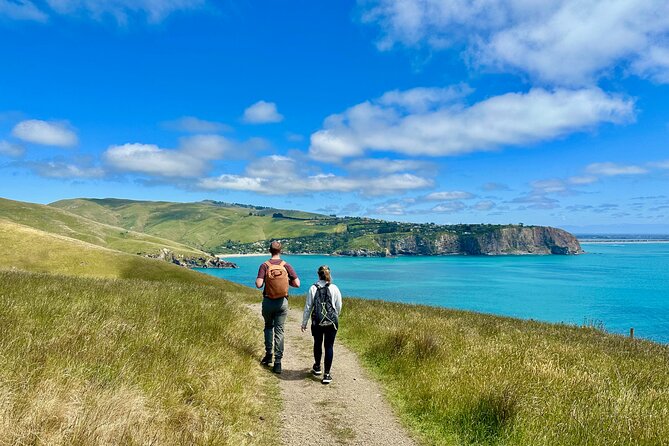 Full Day Guided Walking Tour and Picnic around Godley Head - Key points you’ll feel the moment you start