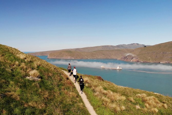 Full Day Guided Walking Tour and Picnic around Godley Head - Coffee, lunch, and snacks: the picnic setup that makes the miles worth it