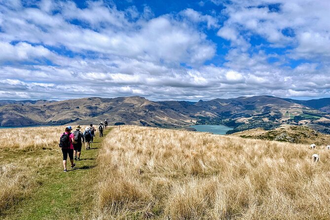 Full Day Guided Walking Tour and Picnic around Godley Head - Small-group guides (Nicole, Heidi, Fraser, Mihi) and why pace matters on this trail