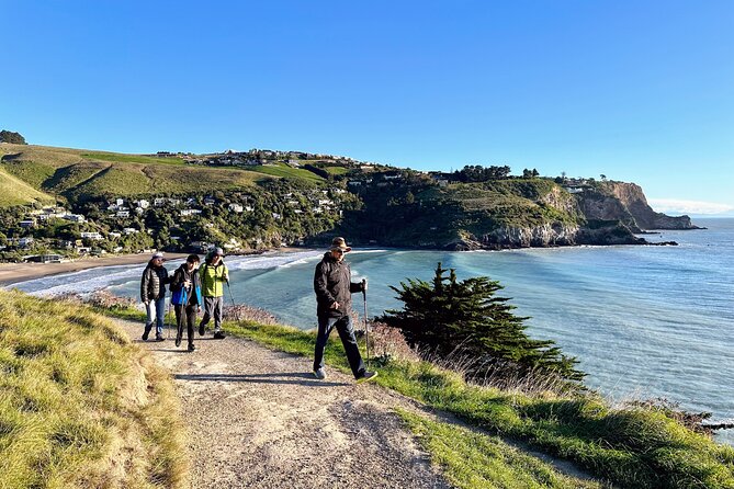 Full Day Guided Walking Tour and Picnic around Godley Head - Stop 1: Sumner Beach (Cave Rock) and a hot drink with the sea