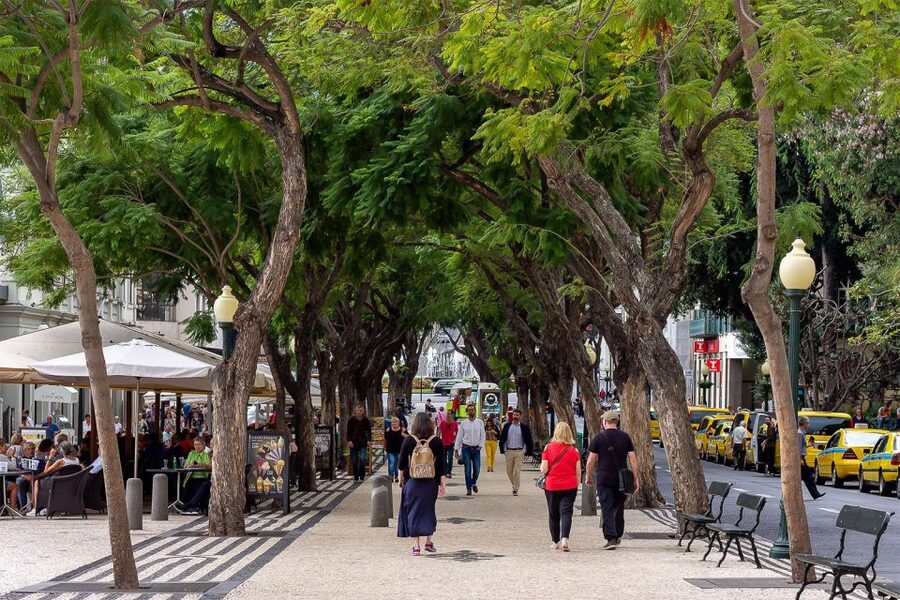 Funchal: Old Town Walking Tour - Why this Funchal old town walk is a smart first move
