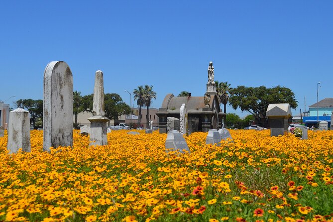 Galveston's Haunted Cemetery Walking Tour - Cameras, headstones, and the realities of night visibility
