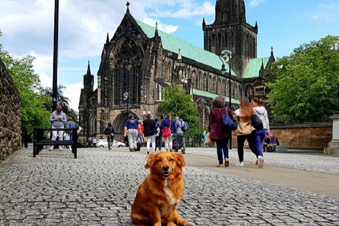 Gander Walking Tours in Glasgow - Where you start at Royal Exchange Square (and why that matters)
