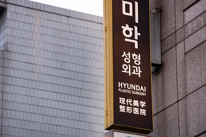 Gangnam Walking Tour on Youth and Society in Seoul Korea - Price and logistics: $31.98 plus one subway ride