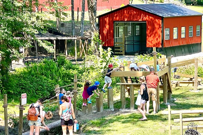 Gem Mining and Goat Farm Walking Tour in Hendersonville - Aviary Walk: Peacocks, Pheasants, and More