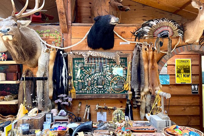 Gem Mining and Goat Farm Walking Tour in Hendersonville - The Crystal and Fossil Store You Can’t Ignore