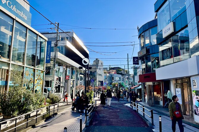 Get Unique Insights into Tokyo - Private Tour with local Guide - Harajuku’s Takeshita Street and street-style shopping energy