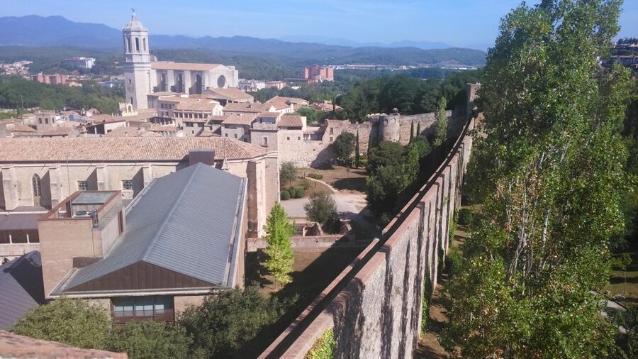 Girona: Small Group Walking Tour - Key highlights you’ll care about