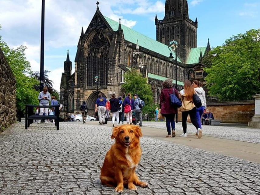 Glasgow: Gander Walking Tour - Pacing, comfort, and who this tour suits best