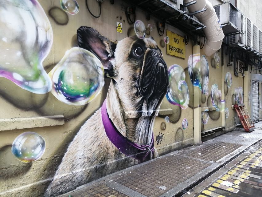 Glasgow: Street Art Guided Walking Tour - Price and timing: $16 for context, not just a stroll