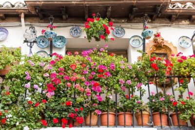 Granada: Albaicín and Sacromonte Walking Tour - Starting at Plaza Isabel la Católica: a smart launch point