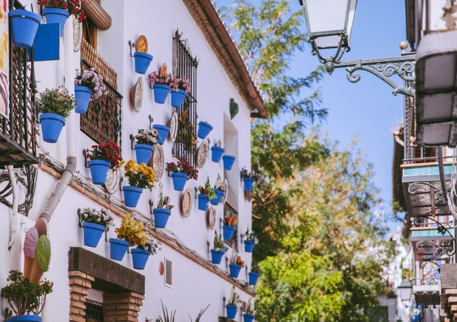 Granada: Albaicín and Sacromonte Walking Tour - Albaicín’s narrow alleys: what you came for